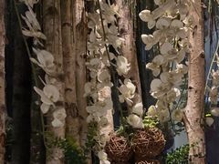 -益健·足疗汗蒸SPA(芙蓉广场店)