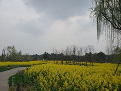 -天府芙蓉园