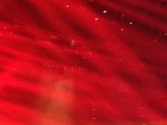 -STELLAR NIGHT CLUB星际酒吧(明发商业广场店)