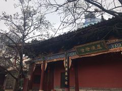 -真庆观