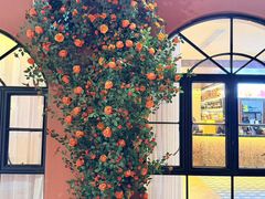 -好兄弟郭巨海鲜(天一阁店)