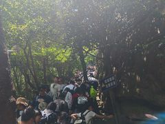 -三叠泉瀑布