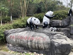 -都江堰中华大熊猫苑