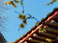 -西安大兴汤院遗址公园