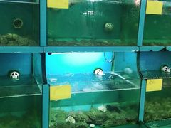-食鼎记海鲜大排档(美食街店)