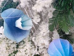 -花之城