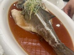 清蒸鲈鱼-庐州太太(南七里店)