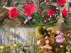 -人民公园(罗湖区)