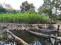 -成都市活水公园