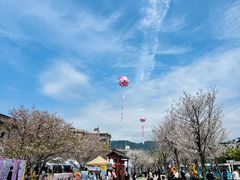 -紫阳古街