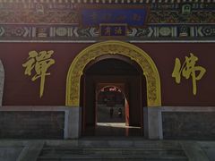 -龙口南山旅游景区