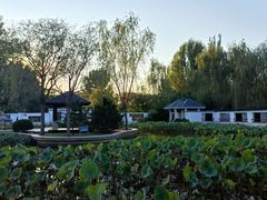 -廊坊市自然公园