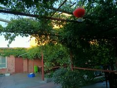 小院-天羽烤乳鸽店(财大家属院店)