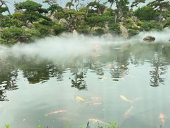 -罗红摄影艺术馆