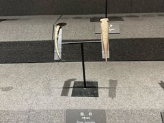 -河姆渡遗址博物馆