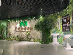 -野象谷景区