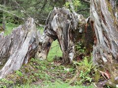 -硗碛藏寨·神木垒景区