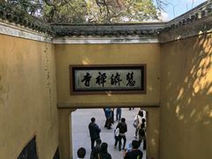 -普陀山慧济禅寺