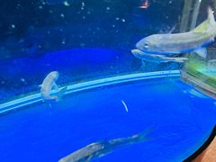 -神憩宾馆-餐厅