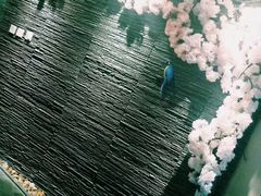 -迈格笙SPA·影院式足道·采耳(金桥店)