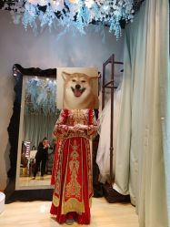 -韩国天使嫁衣婚纱礼服馆(上海旗舰店)