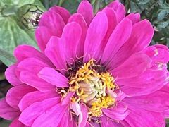 -成都市活水公园