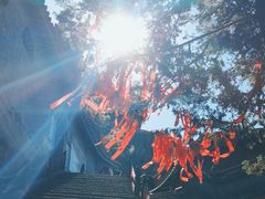 -腾冲云峰山