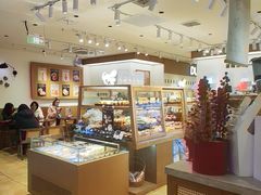 -小飞象面包公社(珠江路金鹰店)