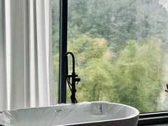 -靖西鹅泉风景区
