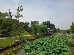 -东台西溪天仙缘景区