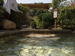 -庐山天沐温泉度假村