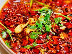 麻辣沸腾乌鱼片-港久茶餐厅(鹭洲里店)