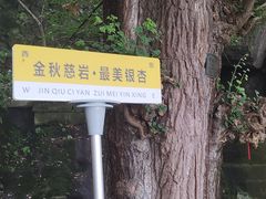 -大慈岩风景区