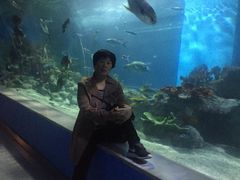 -常州海昌海洋探索馆