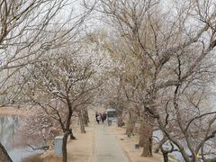 -颐和园