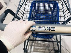 -盒马鲜生(枣园路店)