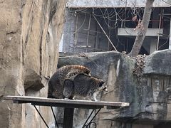 -成都动物园