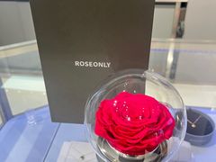 -ROSEONLY诺誓(广州K11店)
