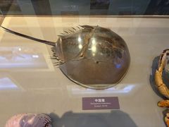 -舟山博物馆