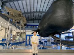 -上海海洋大学鱼文化博物馆(军工路校区)