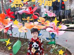 -南宫五洲植物乐园