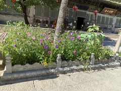 -五台山风景名胜区