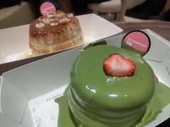 -狐狸和向日葵(北京路店)