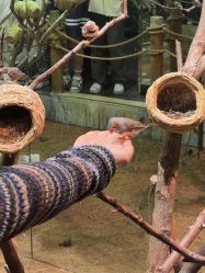 -Zoolung Zoolung动物主题公园(海信广场店)