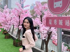 -金茂览秀城