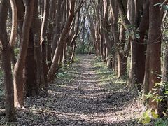 -同里国家湿地公园