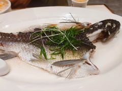 -稻香酒家·34年老字号·港式粤菜(侨光店)