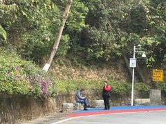 -火炉山森林公园