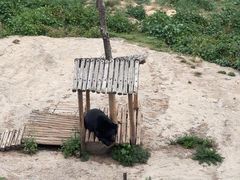 -青藏高原野生动物园