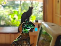 -海边的猫和咖啡馆